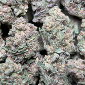 (28G) - Apple Pie 🥧🍎Hybrid | 4Oz Bulk Deal for $200 thumbnail 3