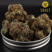 AAAA | PINK ZOMBIE ⭐️NEW ARRIVAL⭐️ thumbnail 1