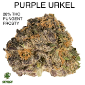 PURPLE URKEL- AAA+ (2 OZ FOR $135) (4 OZ FOR $250) (DENSE/DANK) thumbnail 1