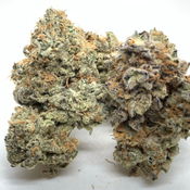 *NEW* Pink Elephant 3A