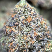 (28G) - Love OG 💘⛽😮‍💨Indica | 2Oz Bulk Deal for $220 thumbnail 2