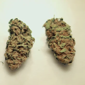 (AA+) GAS RUNTZ (2oz 65$(4oz 100$)(8oz 190$)