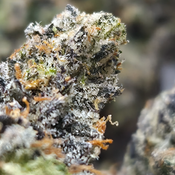 (NEW) Deadman Walking 💀🥀 ($200/Oz) 🔥  thumbnail 3