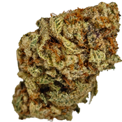 BC (AAAA) BLUE LOBSTER thumbnail 4