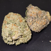 Banana OG 
