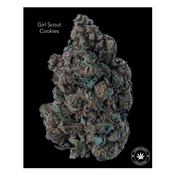 AA+ - GIRL SCOUT COOKIES thumbnail 1