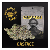 Gasface