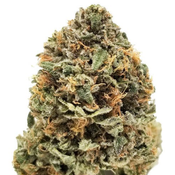 Bubble OG - Premium Quality