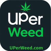 ( HIGH QUALITY )  Baby Yoda OG Indica   ~  2 OZ FOR ONLY $200   thumbnail 2