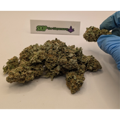 Cactus Breath thumbnail 2