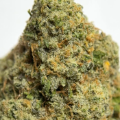 (28G) - Pie hoe 🥧🤠 Indica  - 2Oz Bulk Deal for $230 thumbnail 3