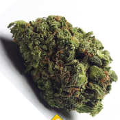 Big Buddha Cheese AAAA+