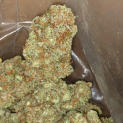 Daily Special GOLDEN GOAT AAA 23.45% thc