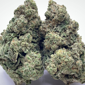 *NEW* Sticky Larry 3A