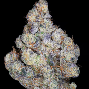 NEW Exxon Mobile Pink 85$OZ 2FOR140$