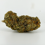 Lemon Drip (Sativa) $100 OZ | $280 QP thumbnail 1