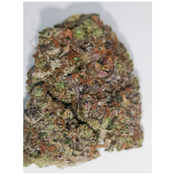 Yeti Fuel thumbnail 1