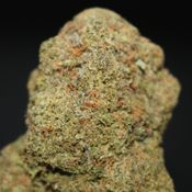 AAA+ | WASHING MACHINE BY SUGE FARMS - 7G