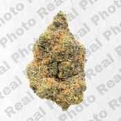 Boy Scout Cookies - NEW DROP - PREMIUM FLOWER - Hybrid