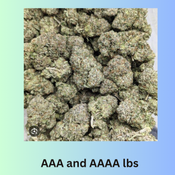 Wholesale AAA and AAAA lbs starting at $450 [Read Description]