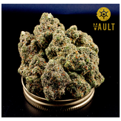 AAAA+ | KNOCKOUT PINK - ⛽️VAULT SPECIAL⛽️ 