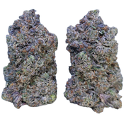 Astro Pink (AAAA+)