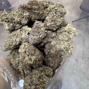 AAAA+ Master Kush Ultra *QUADS KINGS* thumbnail 3