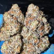 (NEW) Pink Lotus AAAA+ *OZ 170 2OZ 310*