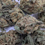 Black Cherry Gelato (2 Oz for 100) thumbnail 3