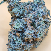 (5 STARS) Black Truffle 💯💣🔥⛽️ 2 OZ FOR 250