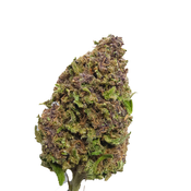 BC (AAA) BLUEBERRY KUSH (20% THC) thumbnail 4