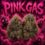 PINK GAS🔥🔥🔥🔥🔥