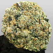 !! BEACH WEDDING 39%THC *SUPER EXOTICS* EXOTICS $200/OZ (2OZ$400)  - duplicate