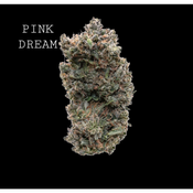 PINK DREAM thumbnail 1