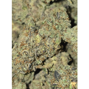 FROSTED FRUITCAKE 100OZ 2FOR180 4FOR340  thumbnail 3