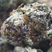 (NEW) LIT Farms Purple Runtz 💜 ($100/Oz or 2x Oz For $180) 🔥 🔥 