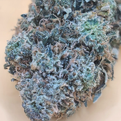 (5 STARS) Black Cherry Garlic  💯🔥💣⛽️ 2 Oz for 250 thumbnail 1