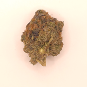 Pink rockstar