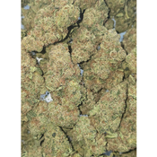 CITRUS FARMER 120OZ 2FOR220 4FOR420 thumbnail 2