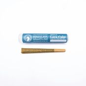 Lava Cake - Infused Pre-Roll - 1G