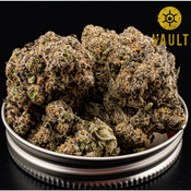      AAAA | Big Willy Style | 2OZS For 250$ *SALE*