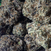 (NEW) Granddaddy Purp **$120oz**