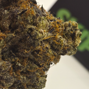 (NEW) Pink Crack 💘💥 ($150/Oz) 🔥