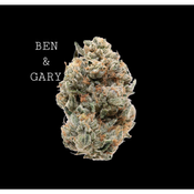 BEN & GARY