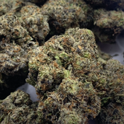 (NEW) Alpha Pink  *$135oz*