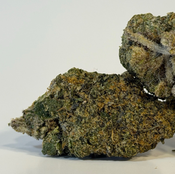 Blue Phantom | Value Buds | $120 an oz | $180 for 2 ozs | 