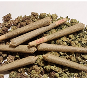 INFUSED PRE ROLLS $25 thumbnail 2