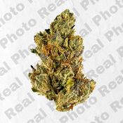 FIRE OG - NEW DROP - PREMIUM FLOWER - INDICA