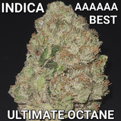 # 1 NEW STRONGEST  8⭐ ULTIMATE OCTANE ( SUPER STICKY, GASSY, VERY STRONG) AAAAAA ($165 OUNCE SALE) REG $450