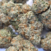 (NEW) Durban Poison 🐍 ($85/Oz 2x 0z For $150) 🔥 🔥 thumbnail 3